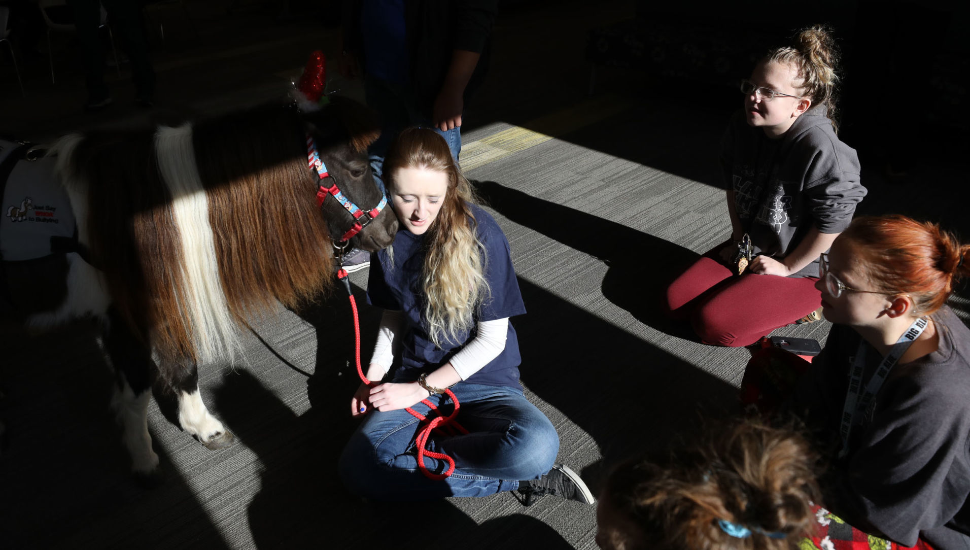 mini therapy horses 28 12.12.18.jpg